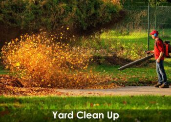 Top-Notch Yard Clean-Up Near Me in Lansdale