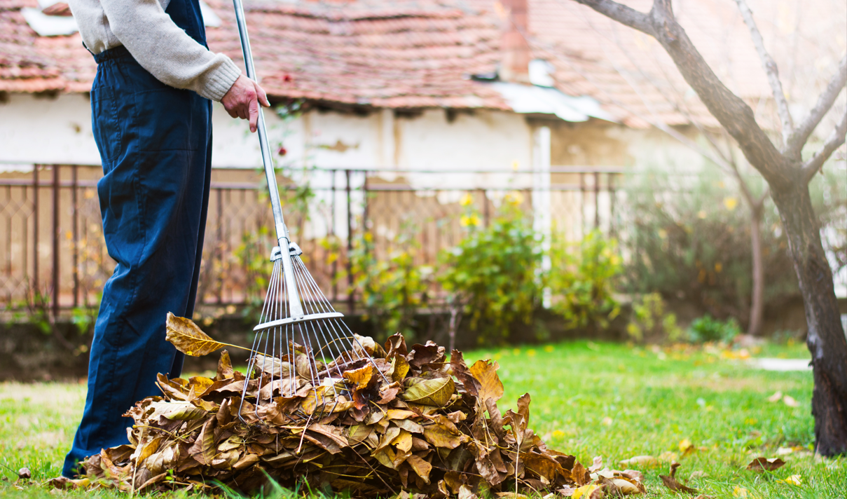 The Ultimate Guide to Professional Yard Clean-Up Services | Triangle ...